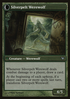 Silverpelt Werewolf